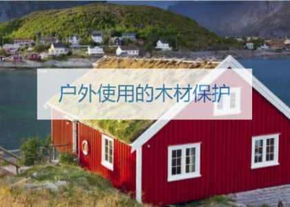 德國PNZ木蠟油